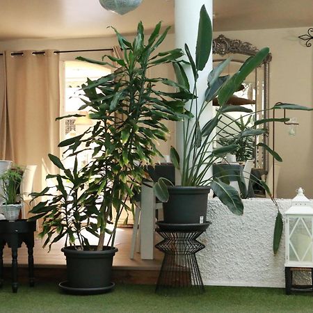 Chambre D'Hotes Villa Ambrosia Et Spa Narbona Zewnętrze zdjęcie
